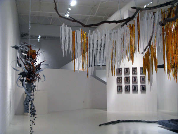 Contact San Diego Artist Miya Hannan Installation